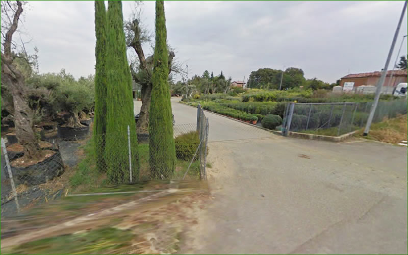 Realizzazione giardini e aree verdi