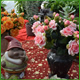 Vasi in vetro, vasi in cotto, vasi in ceramica, cesteria. Fiori artificiali