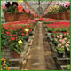 Realizzazione giardini e aree verdi