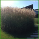 realizzazione giardini piacenza, realizzazione giardini su terrazzi piacenza, realizzazione impianti di irrigazione piacenza