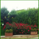 realizzazione giardini piacenza, realizzazione giardini su terrazzi piacenza, realizzazione impianti di irrigazione piacenza