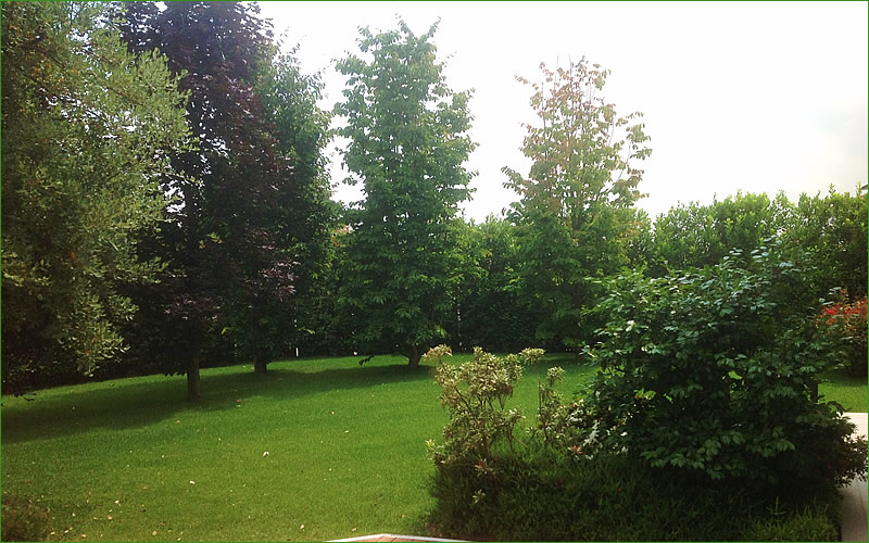 realizzazione giardini piacenza, realizzazione giardini su terrazzi piacenza, realizzazione impianti di irrigazione piacenza
